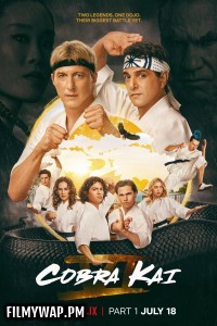 Cobra Kai (2024) Season 6 Hindi Web Series