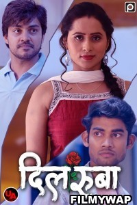 Dilruba (2023) PrimeFlix Original